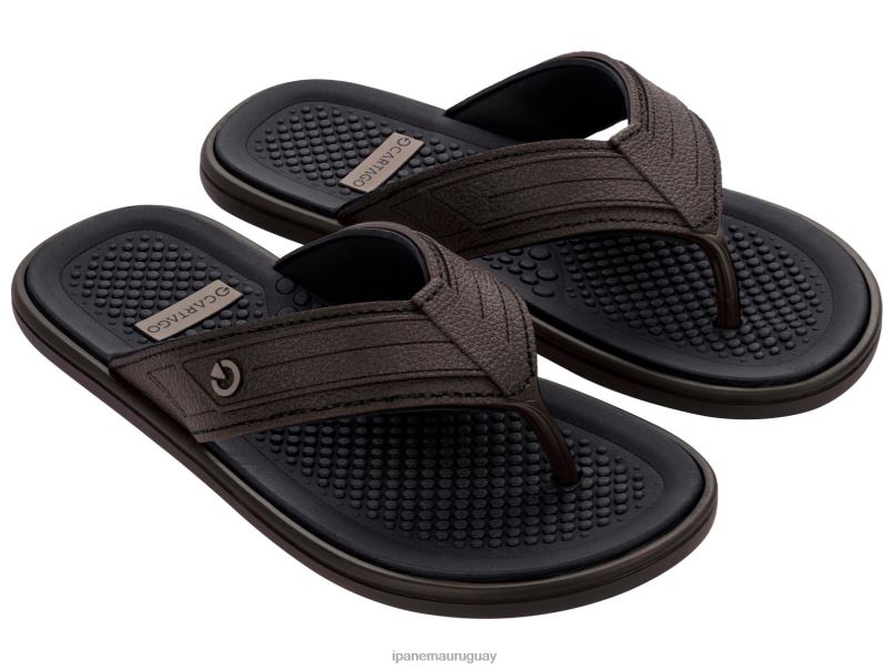 Véneto marrón calzado hombres Ipanema DT26J455