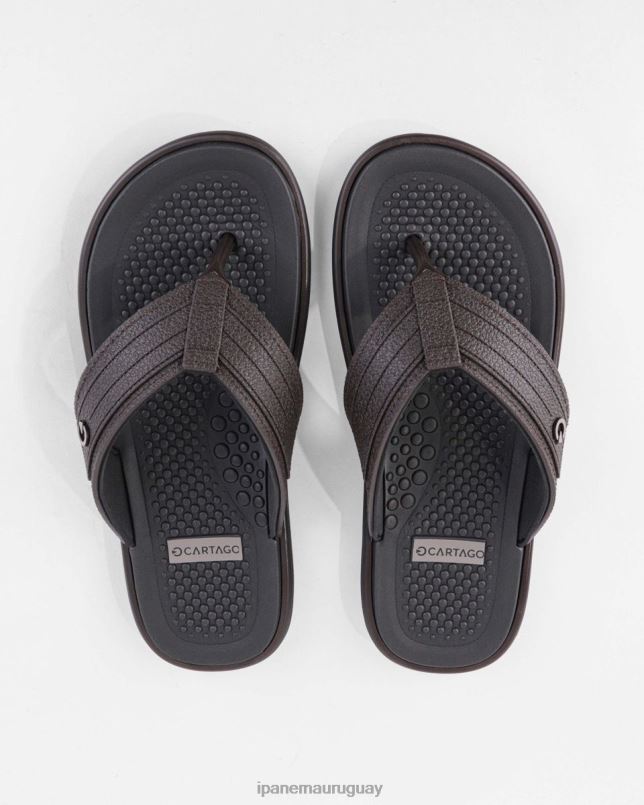 Véneto marrón calzado hombres Ipanema DT26J455