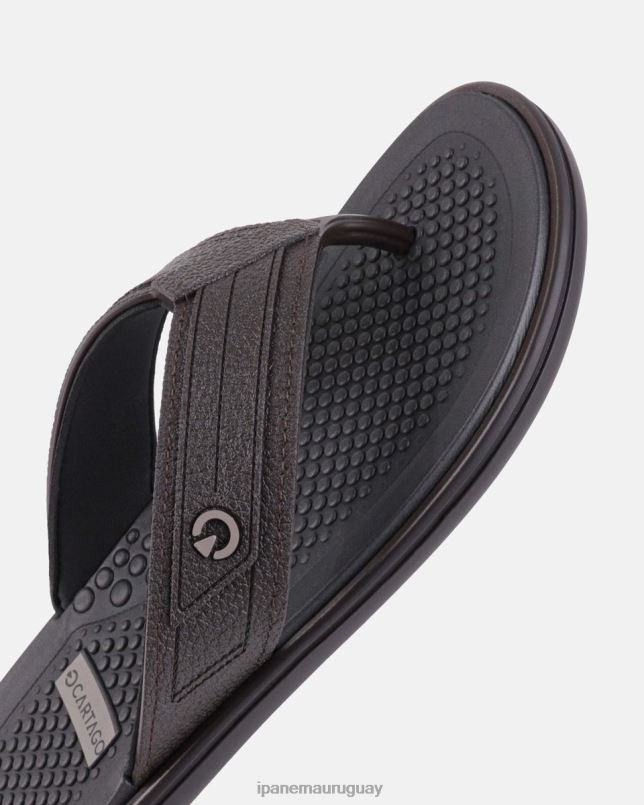 Véneto marrón calzado hombres Ipanema DT26J455