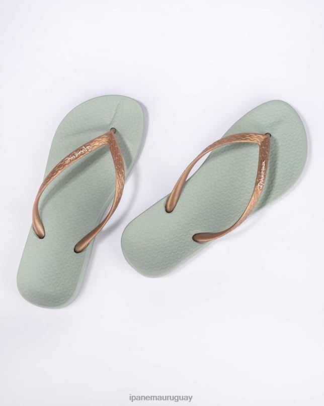bronceado anatómico 21 menta de oro calzado mujer Ipanema DT26J32