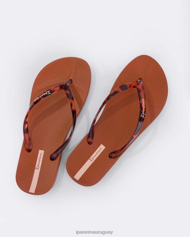 conectar caparazón de tortuga broncearse calzado mujer Ipanema DT26J83