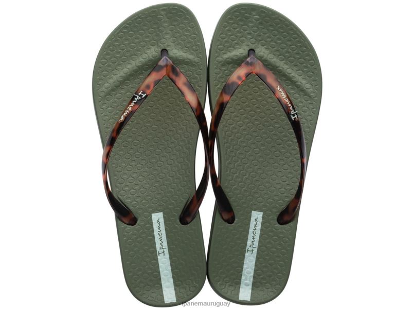 conectar caparazón de tortuga caqui calzado mujer Ipanema DT26J82
